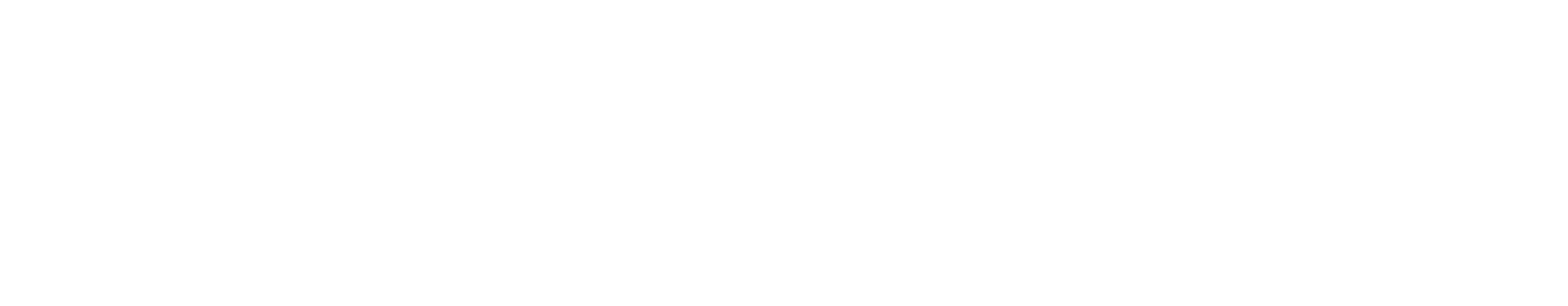 SpeakerMatch Logo